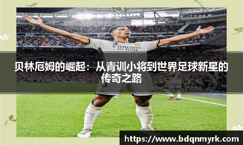 bsports官网