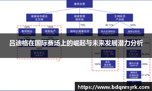 吕迪格在国际赛场上的崛起与未来发展潜力分析