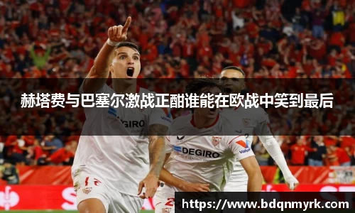 bsports官网入口