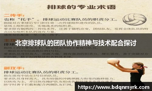 北京排球队的团队协作精神与技术配合探讨